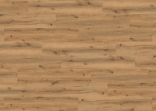 Vinylová podlaha KPP X-CELENT WOOD 62019 Dub Erica