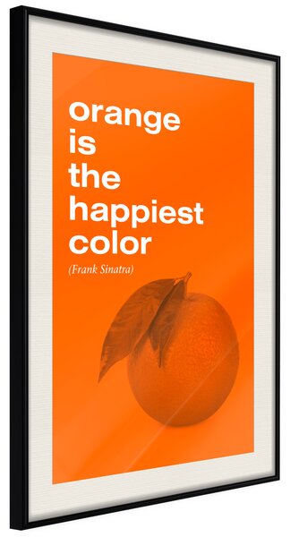 Artgeist Orange Colour Velikosti (šířkaxvýška): 40x60, Finální vzhled: Černý rám s paspartou