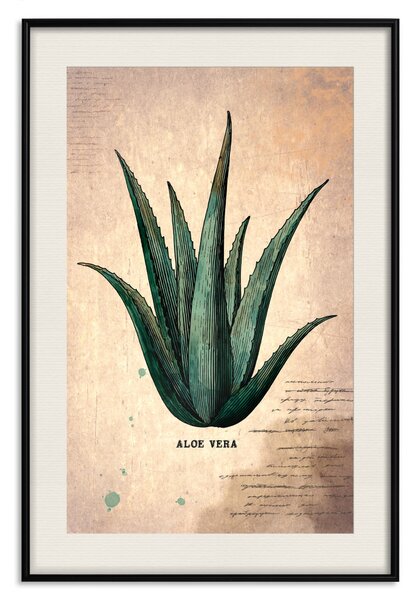 Plakát List z Herbáře - vintage kompozice s zelenou rostlinou na pozadí hnědé