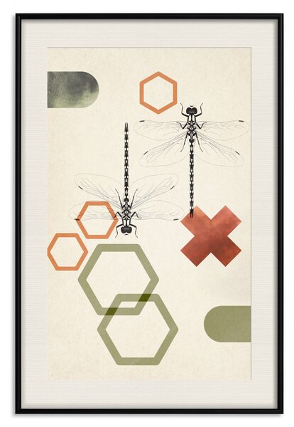 Plakát Vážky a geometrie