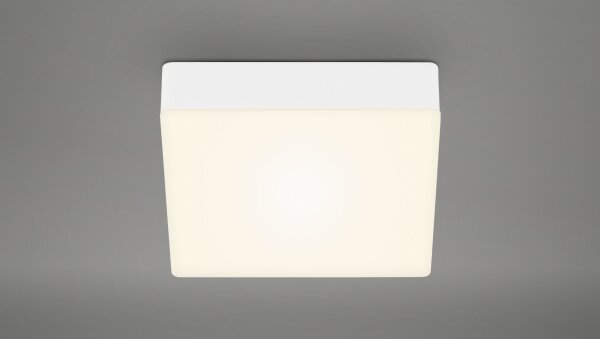 Briloner 7069-016 - LED Stropní svítidlo LED/11W/230V bílá