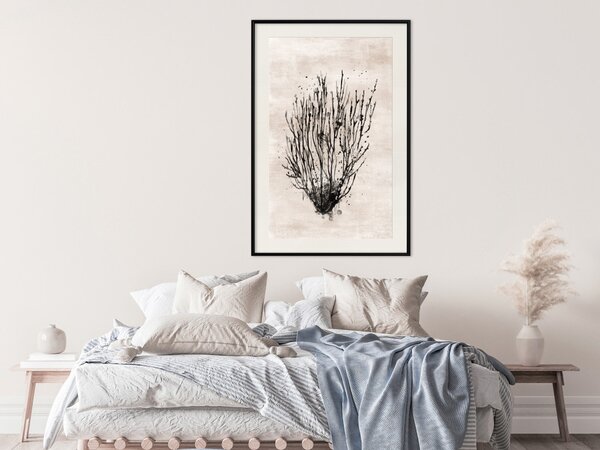 Plakát Mořské řasy - černá rostlinná kompozice na pozadí béžové textury