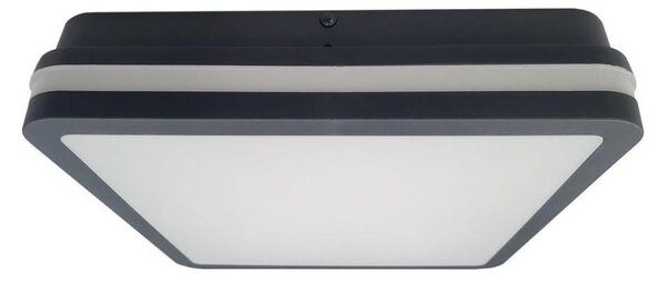 LED Koup. stropní svítidlo ELLÉ LED/24W/230V 3000/4000/6500K 26x26 cm IP54 antr