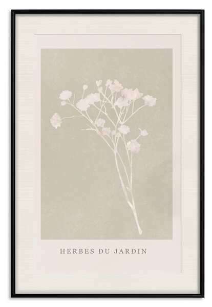 Plakát Francouzská zahrada - světlá rostlinná kompozice s francouzskými texty
