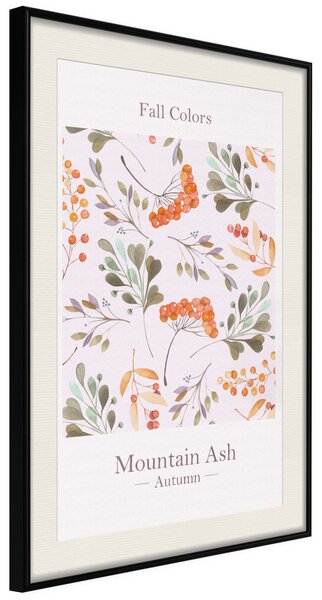 Plakát Podzimní barvy - anglické texty a barevné podzimní rostliny