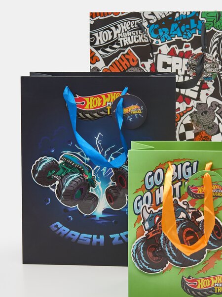 Sinsay - Sada 3 dárkových tašek Hot Wheels - vícebarevná