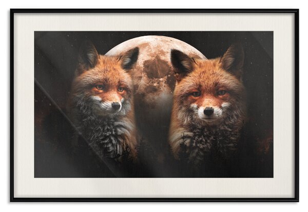 Plakát Lesní pár - dvě lišky a měsíc na hvězdné noční obloze