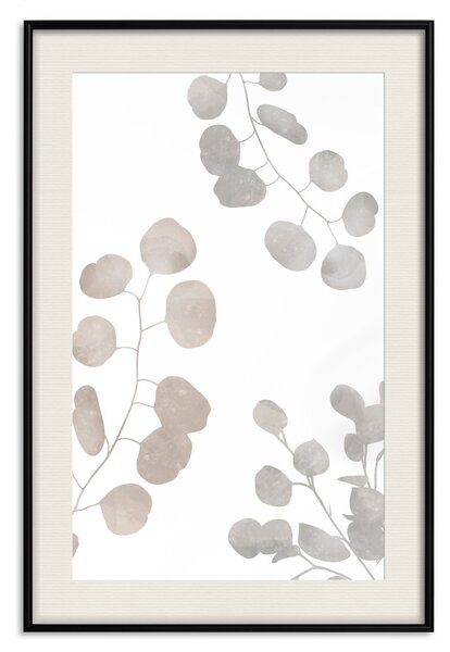 Plakát Kompozice eukalyptové rostliny - listy a větvičky na bílém pozadí