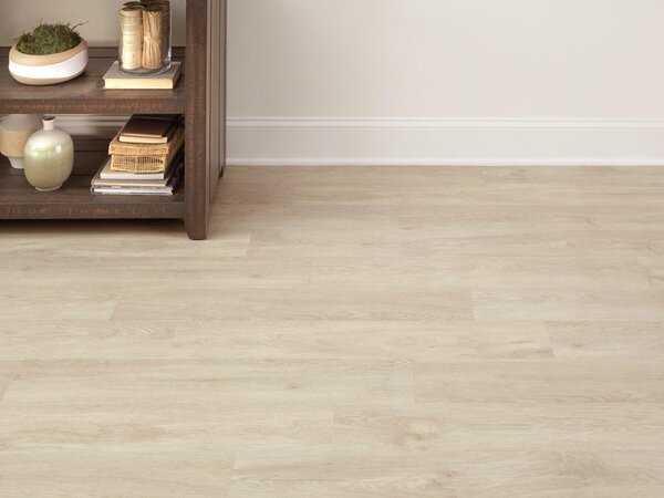 Relit GD Loyal 5,61 m2