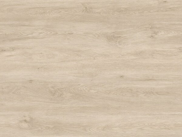 Relit GD Loyal 5,61 m2
