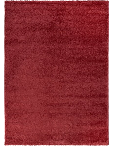 Flair Rugs koberce Kusový koberec Sleek Brick Red - 120x170 cm