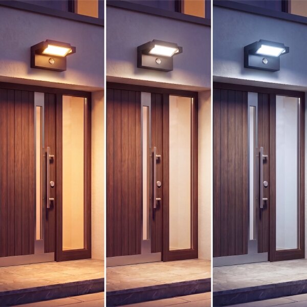 LED Venkovní nástěnné svítidlo se senzorem LED/25W/230V IP54 černá