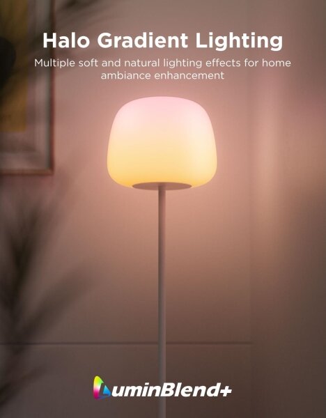 Govee - LED RGBICWW Stm stojací lampa LANTERN MATTER LED/24W/230V Wi-Fi 160 cm