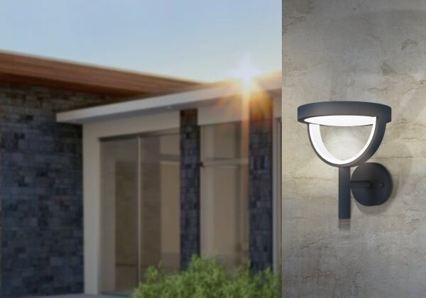 Eglo 98234 - LED Venkovní nástěnné svítidlo FRANCARI-C LED/15W/230V IP44