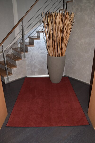 Tapibel, Kusový koberec Supersoft s bordurou 110 červený, 200x290, červená, ložnice