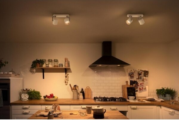 Philips 50672/31/P0 - LED Stmívatelné bodové svítidlo BYRL 2xLED/4.5W/230V