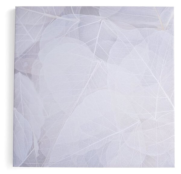 AJ Produkty Akustický panel IMAGE, zimní listí, 1200x1200 mm, béžová