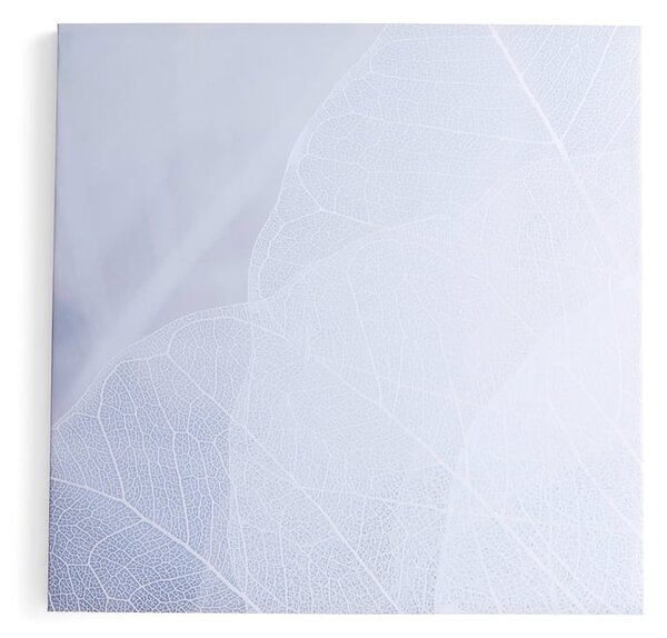 AJ Produkty Akustický panel IMAGE, zimní listí, 1200x1200 mm, šedá