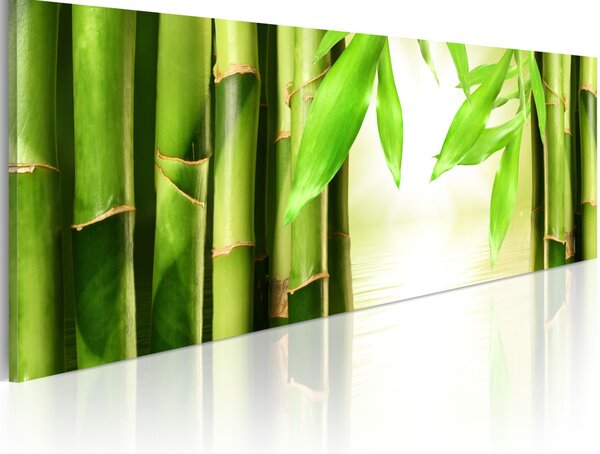 Obraz Bamboo gate