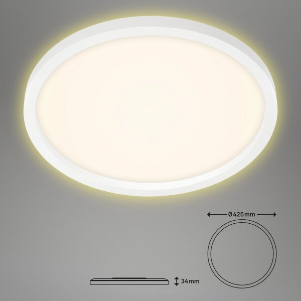 Briloner 7363-016 - LED Stropní svítidlo CADRE LED/22W/230V pr. 42,5 cm bílá