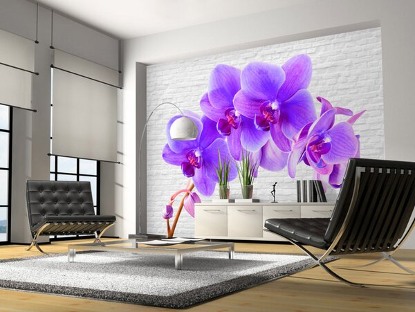 Fototapeta Fialové vzrušení - motiv orchidejových květů na bílém pozadí s cihlou
