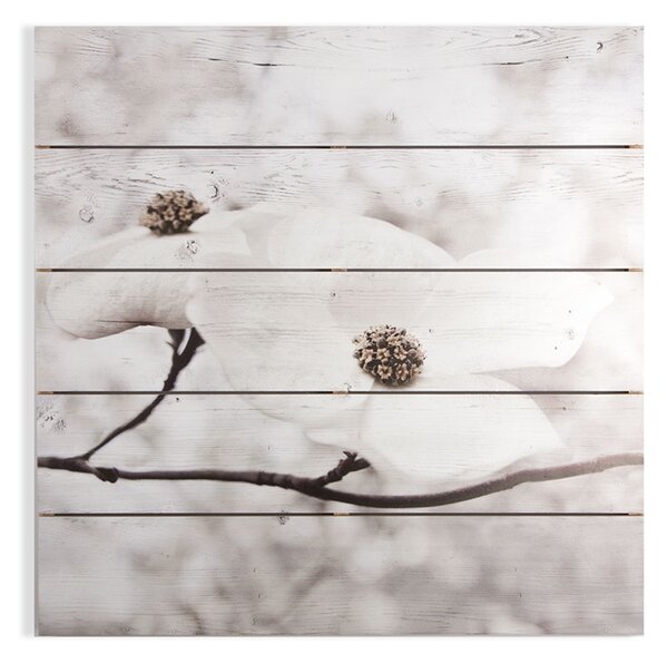 Obraz - tisk na dřevě - Serenity Blossoms 104589, Wall Art, Graham Brown