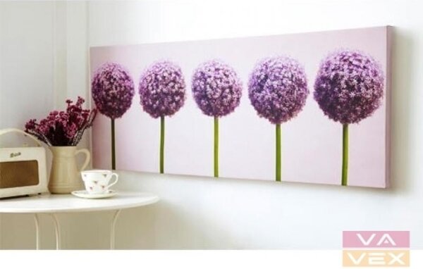 Obraz 40-234, Row of Alliums, Wall Art, Graham Brown