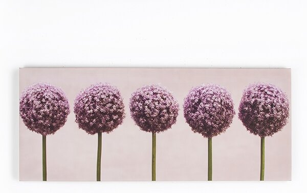Obraz 40-234, Row of Alliums, Wall Art, Graham Brown