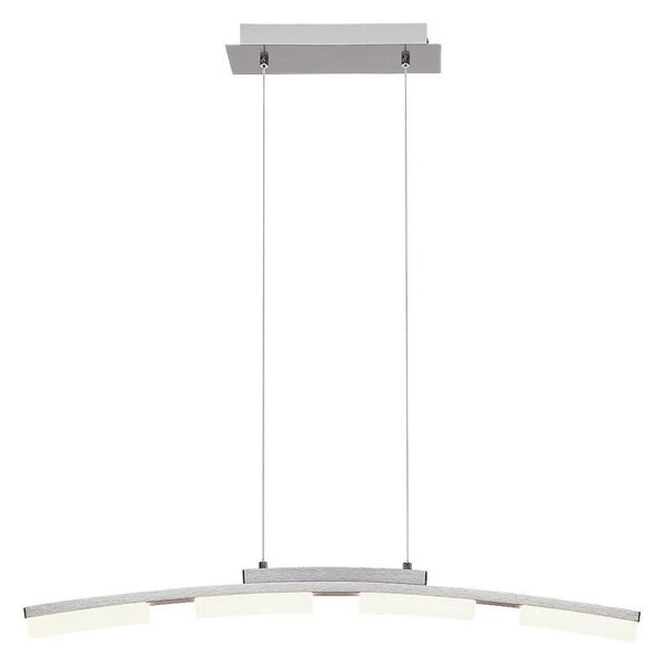 Rabalux 2957 - LED Stmívatelný lustr na lanku EUCALYPTUS LED/20W/230V