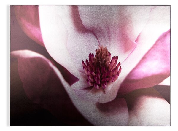 Bezrámový obraz Metallic Plum Petals 104574, Wall Art, Graham Brown
