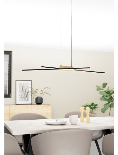 Eglo 900489 - LED Stmívatelný lustr na lanku PANAGRIA 2xLED/13W/230V