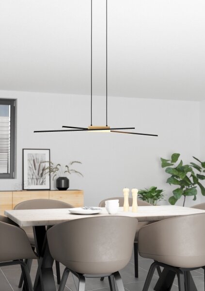 Eglo 900489 - LED Stmívatelný lustr na lanku PANAGRIA 2xLED/13W/230V