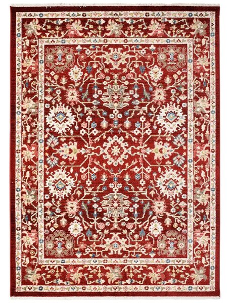 Makro Abra Kusový koberec RIVOLI EF52A Klasický červený Rozměr: 80x150 cm