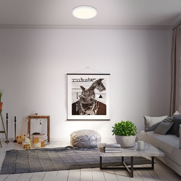 Briloner 3704-016 - LED Stmívatelné stropní svítidlo RUNA LED/22W/230V bílá + DO