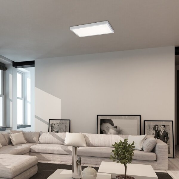Rabalux 71079 - LED Přisazený panel DAMEK LED/80W/230V 4000K 120x60 cm