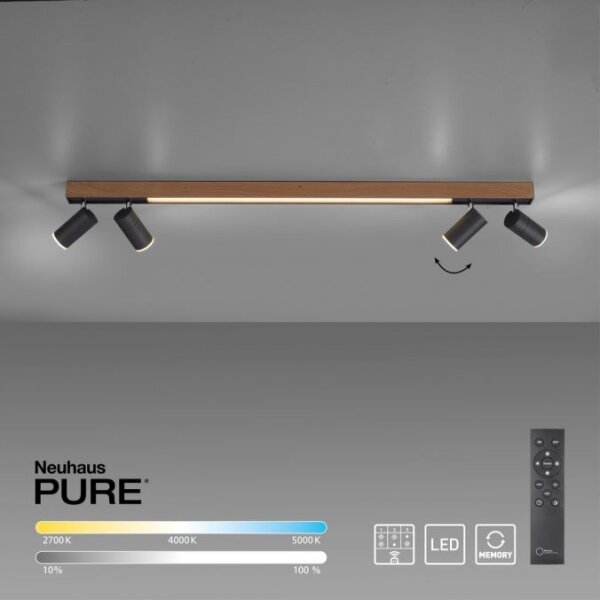 Paul Neuhaus 6121-79 - LED Stmívatelné svítidlo PURE 4xLED/4W/230V + LED/9W + DO