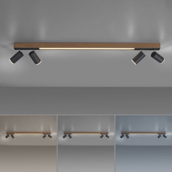 Paul Neuhaus 6121-79 - LED Stmívatelné svítidlo PURE 4xLED/4W/230V + LED/9W + DO