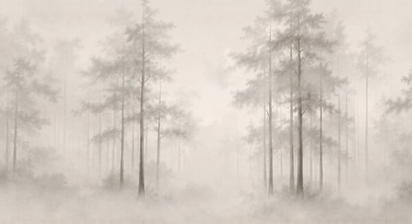 Fototapeta Zamlžený les se stromy, Lesní fototapety, Populární fototapety - Tapeko.co.cz