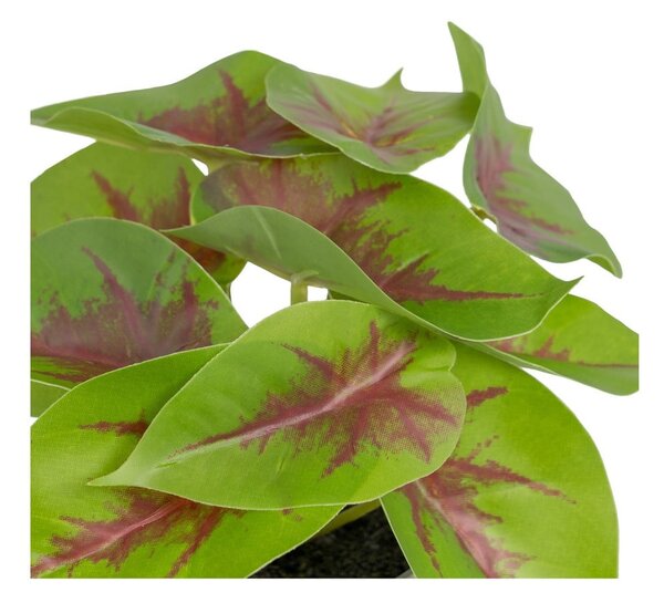 Umělá rostlina (výška 20 cm) Syngonium – Ixia