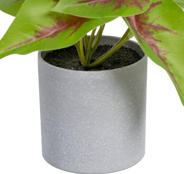 Umělá rostlina (výška 20 cm) Syngonium – Ixia