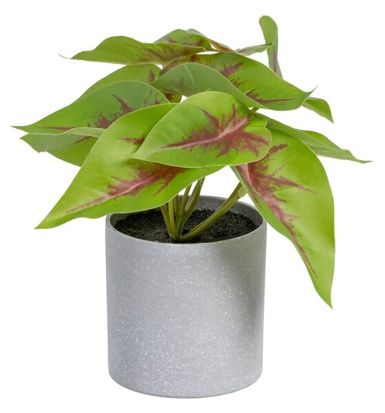 Umělá rostlina (výška 20 cm) Syngonium – Ixia