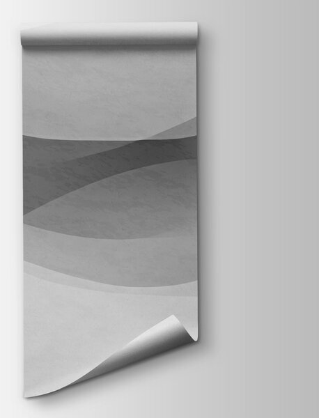 Fototapeta Bílé pozadí s černobílými vlnami, Abstraktní fototapety, Populární fototapety - Tapeko.co.cz