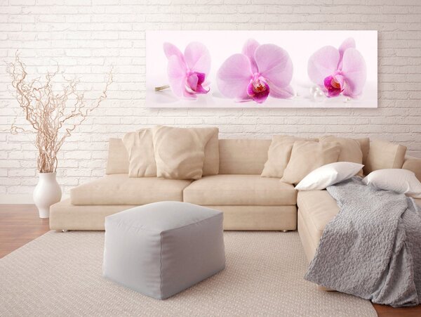 Obraz Tři orchideje
