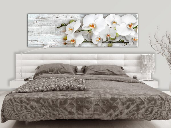 Obraz Orchideje a Dřevo (1-dílný) - bílé květy na pozadí šedého dřeva