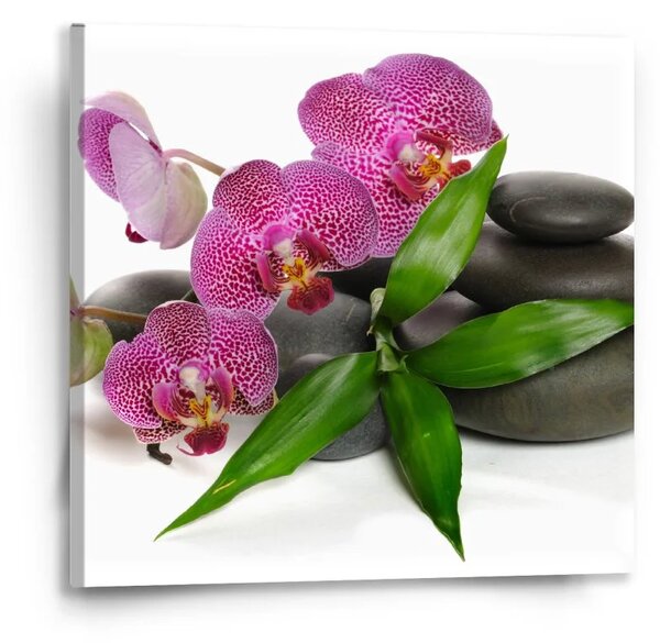 Sablio Obraz Orchideje a kameny - 50x50 cm