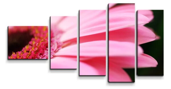 Sablio Obraz - 5-dílný Růžová gerbera - 100x60 cm