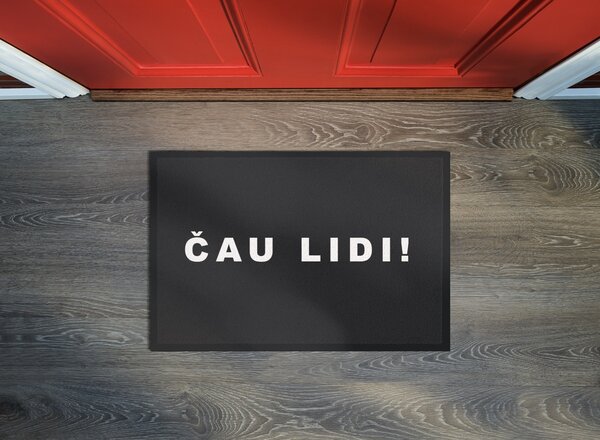 GDmats, POSLEDNÍ ŠANCE: Rohožka Čau lidi 40x60 cm - na ven i na doma, 40x60, šedá