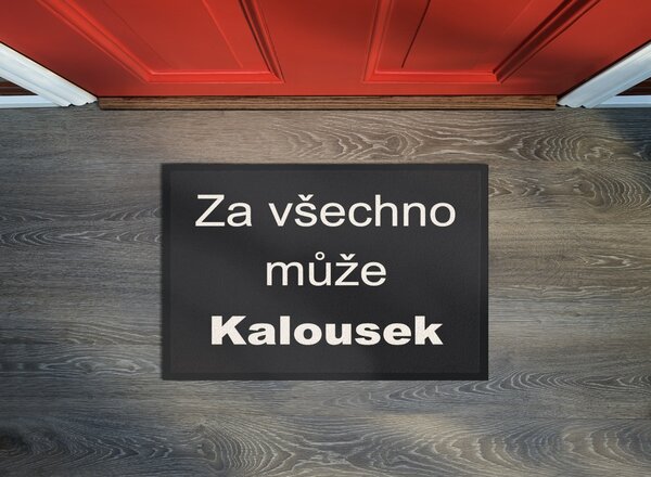 GDmats Rohožka Kalousek 40x60 cm - na ven i na doma - 40x60 cm