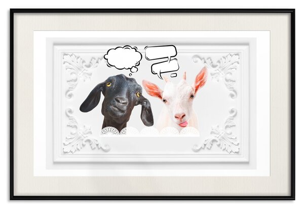 Plakát Vtipné kozy - komická kompozice s černobílým zvířetem