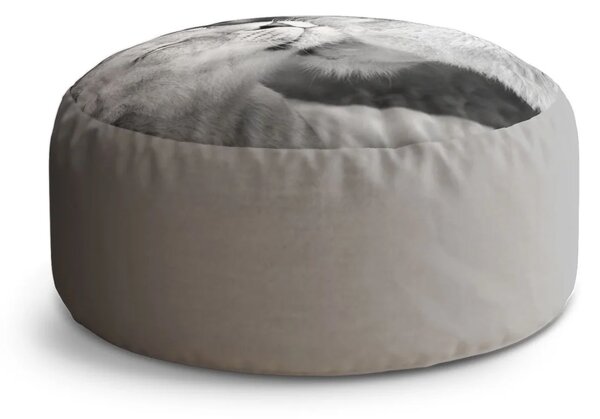 Sablio Taburet Circle Lvice: 38x48 cm